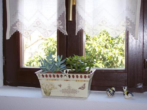Hostal Posada De Mu�o