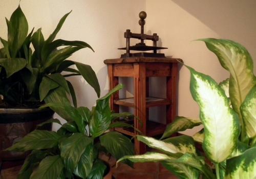Hostal Posada De Mu�o