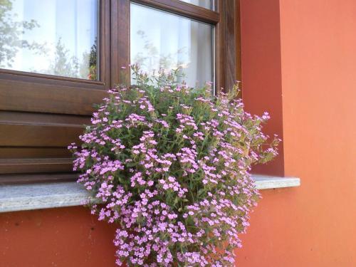Apartamentos Rurales La G�ertona