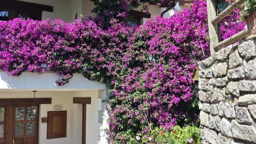 Apartamentos Rurales La G�ertona