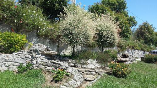 Apartamentos Rurales La G�ertona