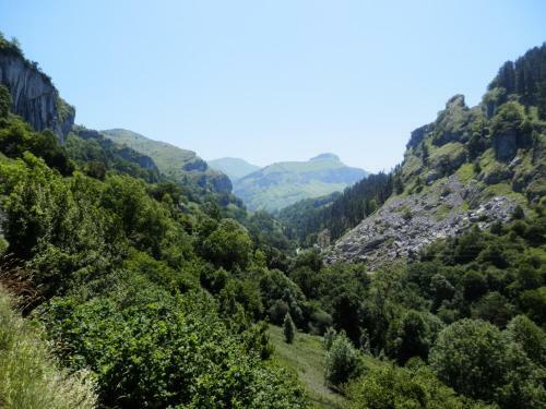 Apartamentos Riomiera