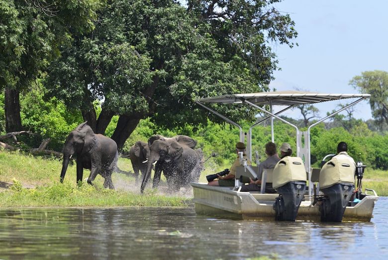 Posada Ichingo Chobe River Lodge