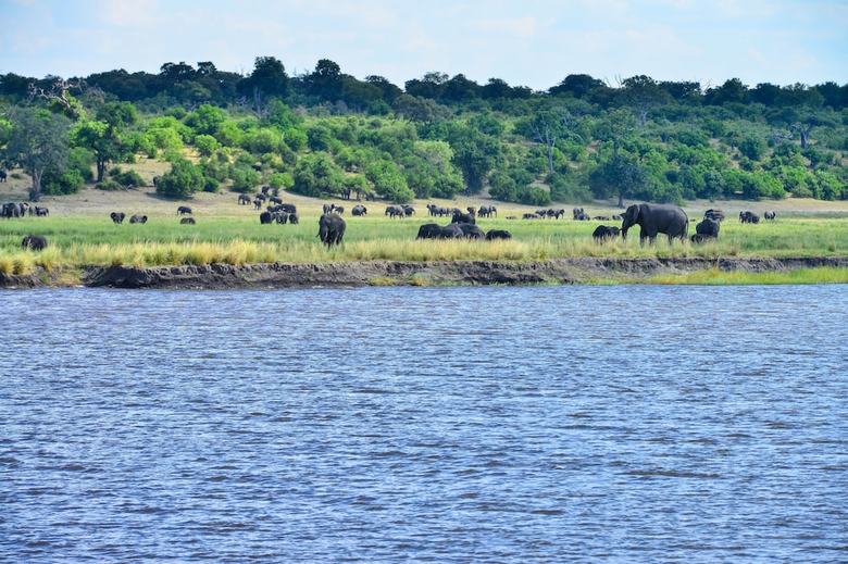 Posada Ichingo Chobe River Lodge