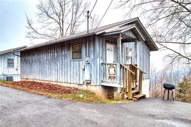 Leconte View 2 - One Bedroom Cabin