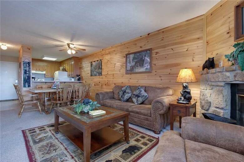 Ski View Mountain Resort 305 - Two Bedroom Condo
