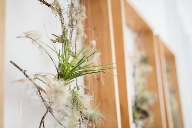 Apartamentos Pra�a Amarela