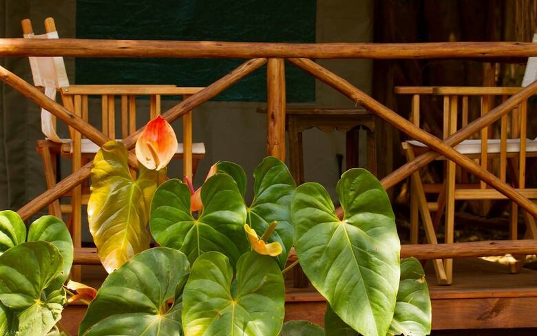 Posada Simbamwenni Lodge And Camping