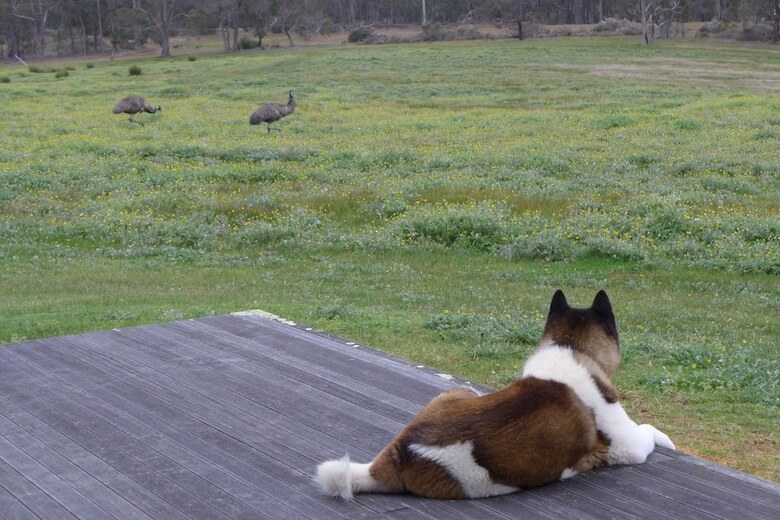 Margaret River Farmhouse