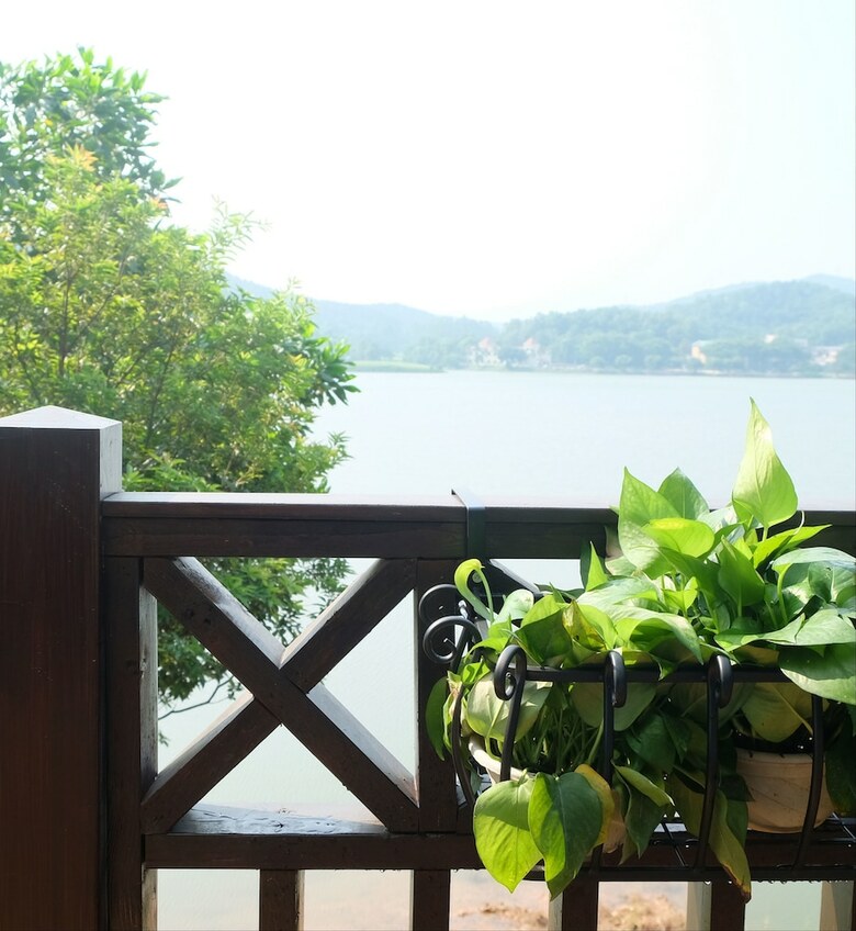 Midea Egret Lake Car Camp