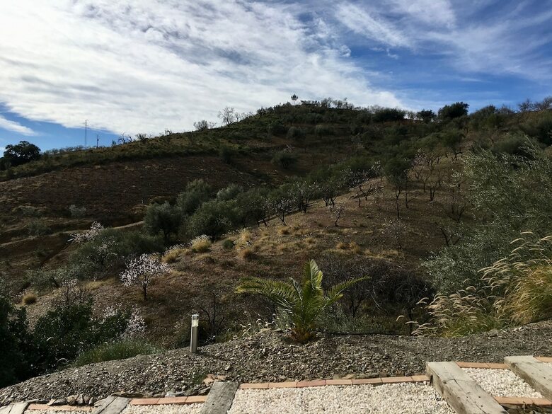 Bed & Breakfast Cortijo La Zapatera