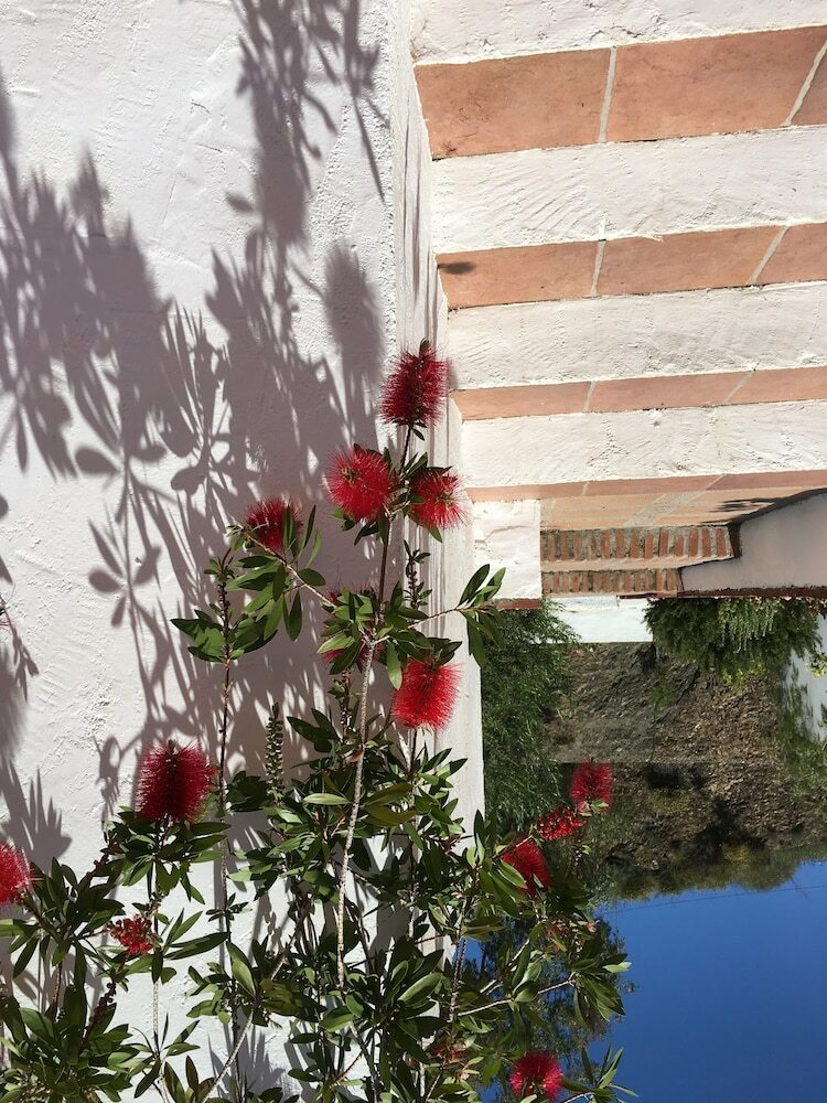 Bed & Breakfast Cortijo La Zapatera
