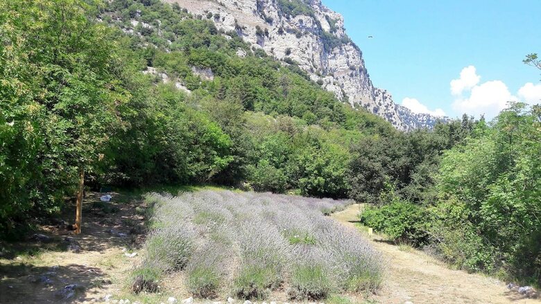 Agroturismo La Maison de No�lie - Rez de Jardin