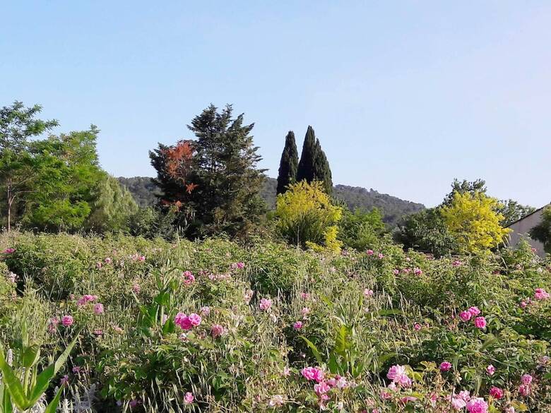 Agroturismo La Maison de No�lie - Rez de Jardin