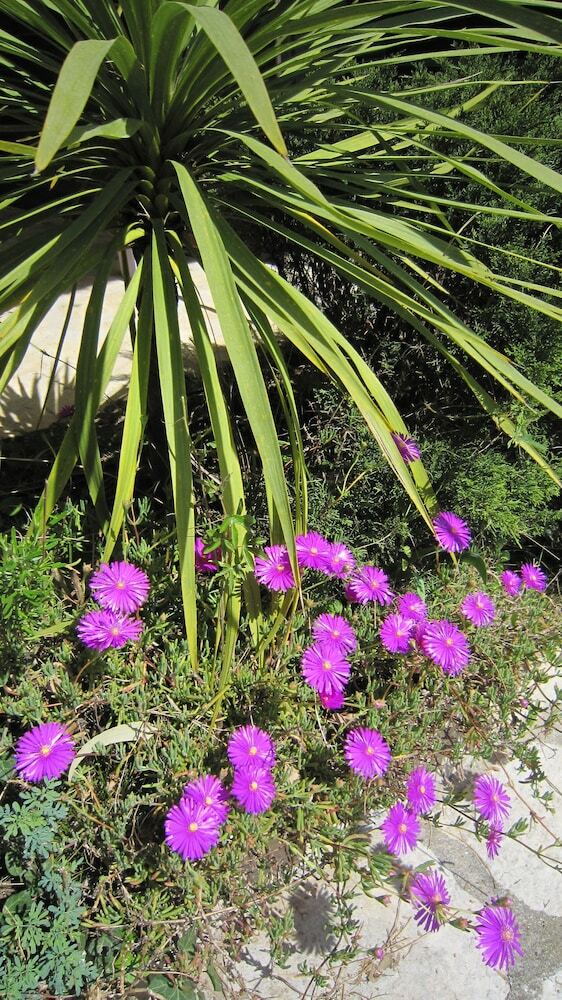 Hotel La Villa Les Hesp�rides