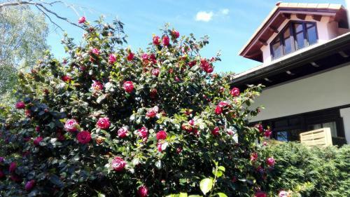 Hotel Rural El Pagad�n