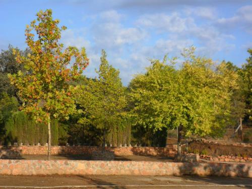 Bungalows Puente Nuevo