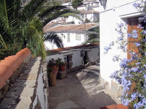Apartamentos Buganvilla