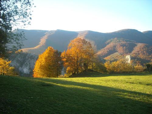Hostal Goiko-benta Ostatua