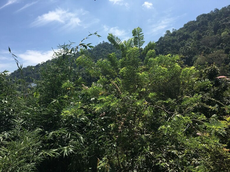 Hotel Kandy Home Stay Villa
