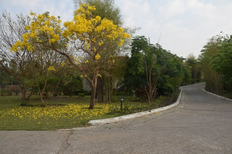 Hotel Yadanar Theingha