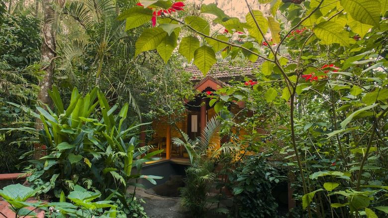 Apartamento Edakkal Hermitage