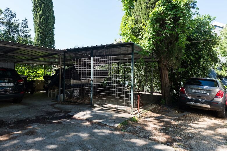 Apartment Domenica 2