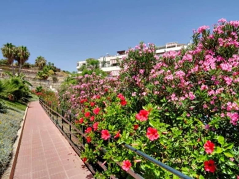 Apartamentos Del Parque Flats - Golf & Beach