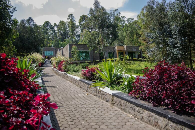 Bed & Breakfast Musanze Caves Hotel
