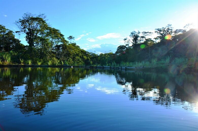 Ecopark Hotel Puyo Amazonia Ecuador