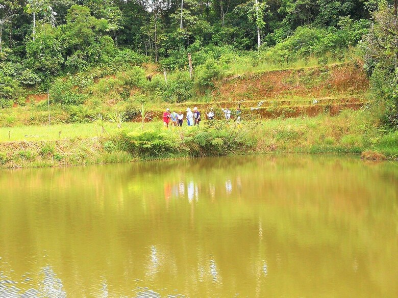 Ecopark Hotel Puyo Amazonia Ecuador