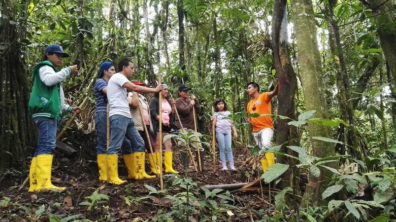 Ecopark Hotel Puyo Amazonia Ecuador