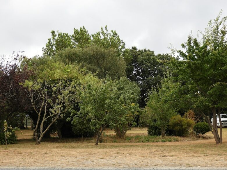 Somerset Caravan Park