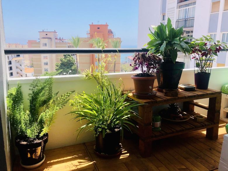 Apartamento Flamingo - 150m Playa