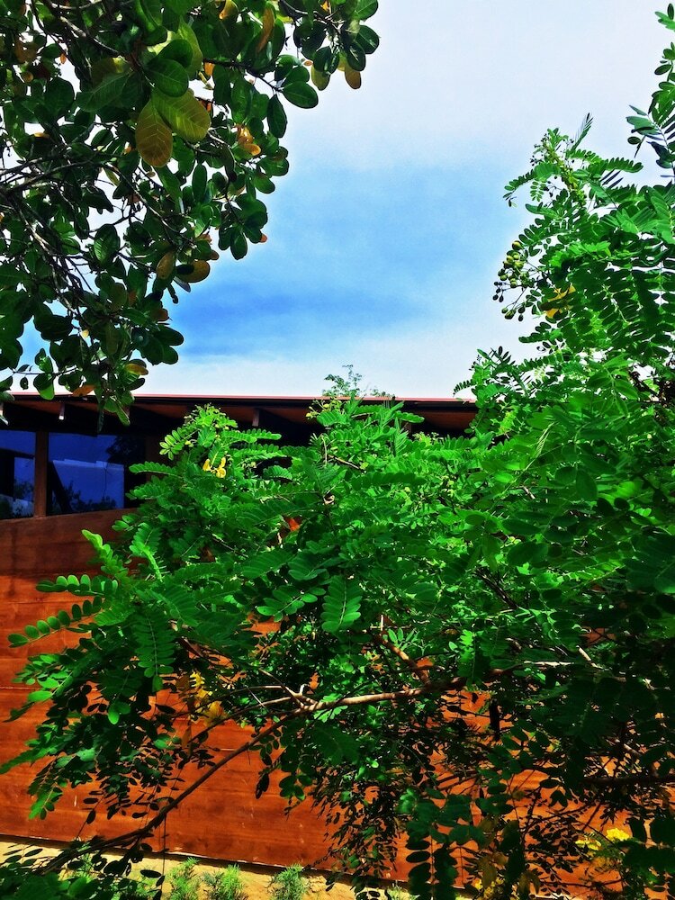 Hotel Southern Edge