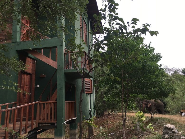 Apartamento Elephant Hide By Cacao