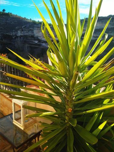 Apartamento Al-axara Home Spa