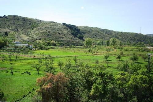 Suite Rural Carenas