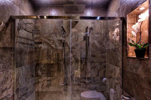 Suite Rural Carenas