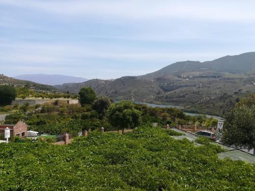 Hostal Los Naranjos