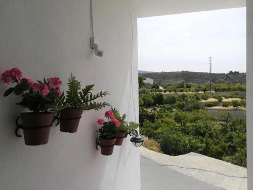 Hostal Los Naranjos