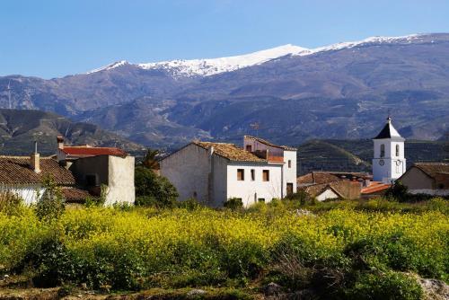 Hostal Los Naranjos