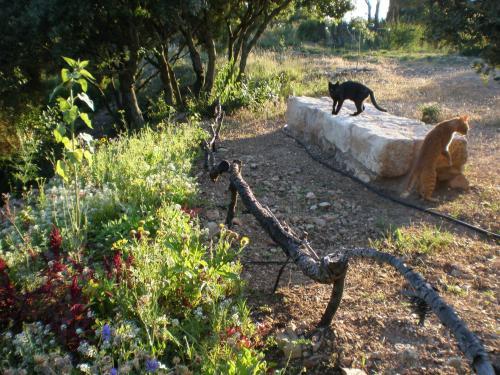 Agroturismo Mas Del Salin