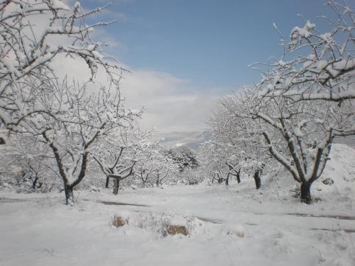 Agroturismo Mas Del Salin