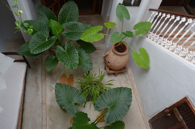 Hotel Casa Spa Del Renacimiento
