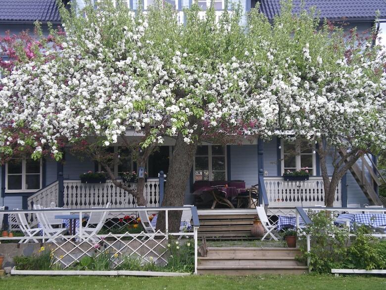 Posada Hotell Pensionat Granparken