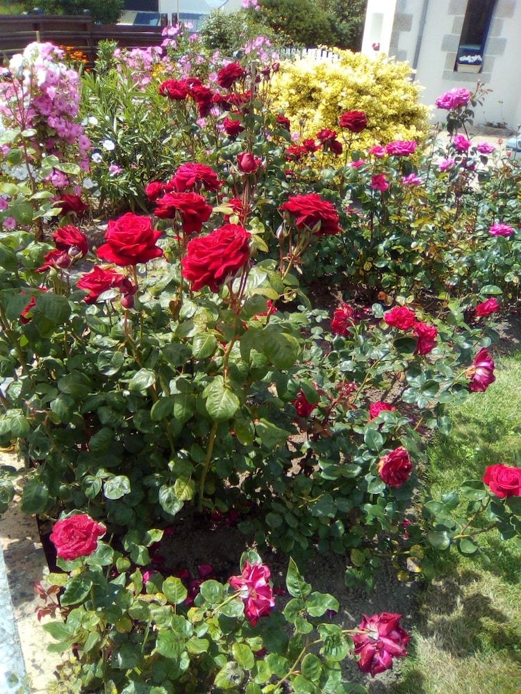 Bed & Breakfast Au Jardin de Cr�ach Avel