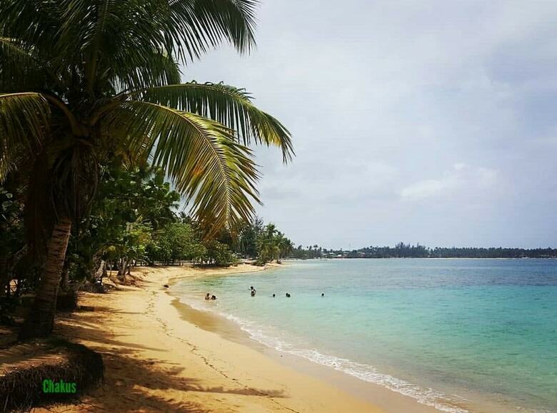 Aparthotel Dolce Vita 12 Hotel Las Terrenas Samana
