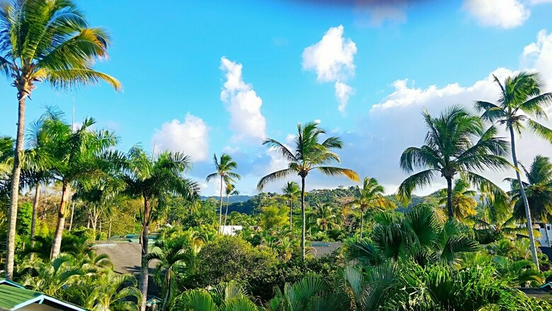 Aparthotel Dolce Vita 12 Hotel Las Terrenas Samana