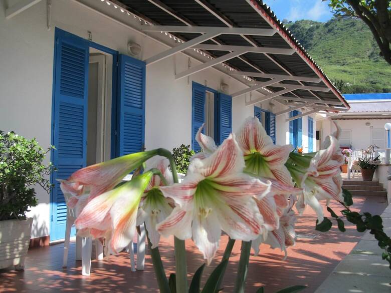 Hotel Casa Adolfo Ischia